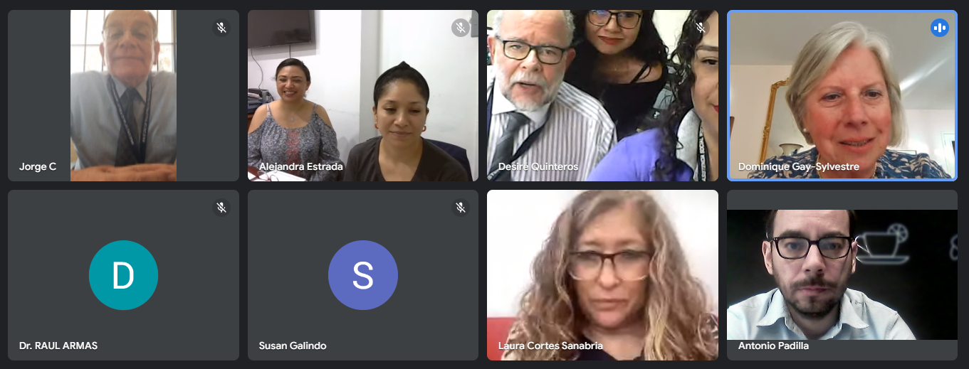 début de la collaboration entre le Ministère de la Santé du Guatemala et 
                le Réseau International ALEC